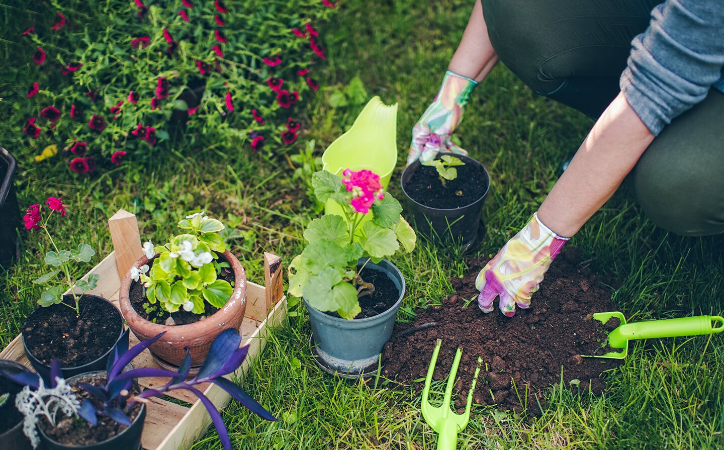 Sabia que jardinar faz bem à saúde? | Médis