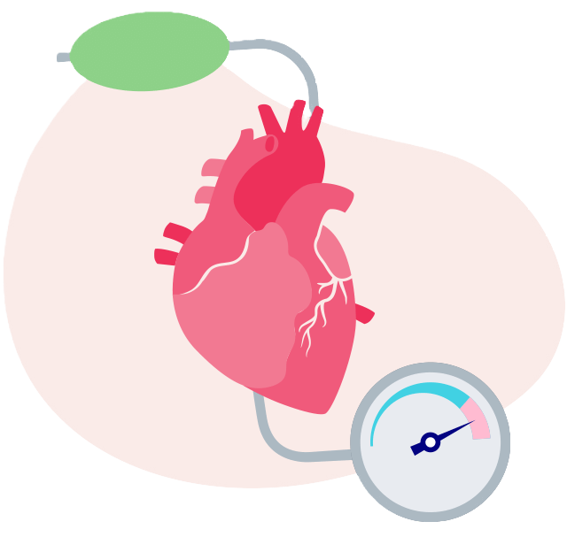 Ilustração de um coração ligado a um medidor de pressão arterial, representando cuidados cardiovasculares durante a menopausa.